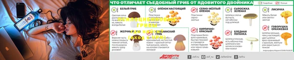 ALPHA-PVP Алексеевка